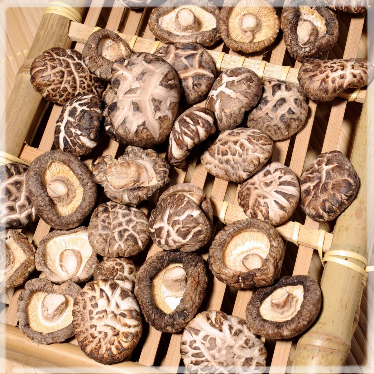 新鲜花菇图片素材-编号37359960-图行天下