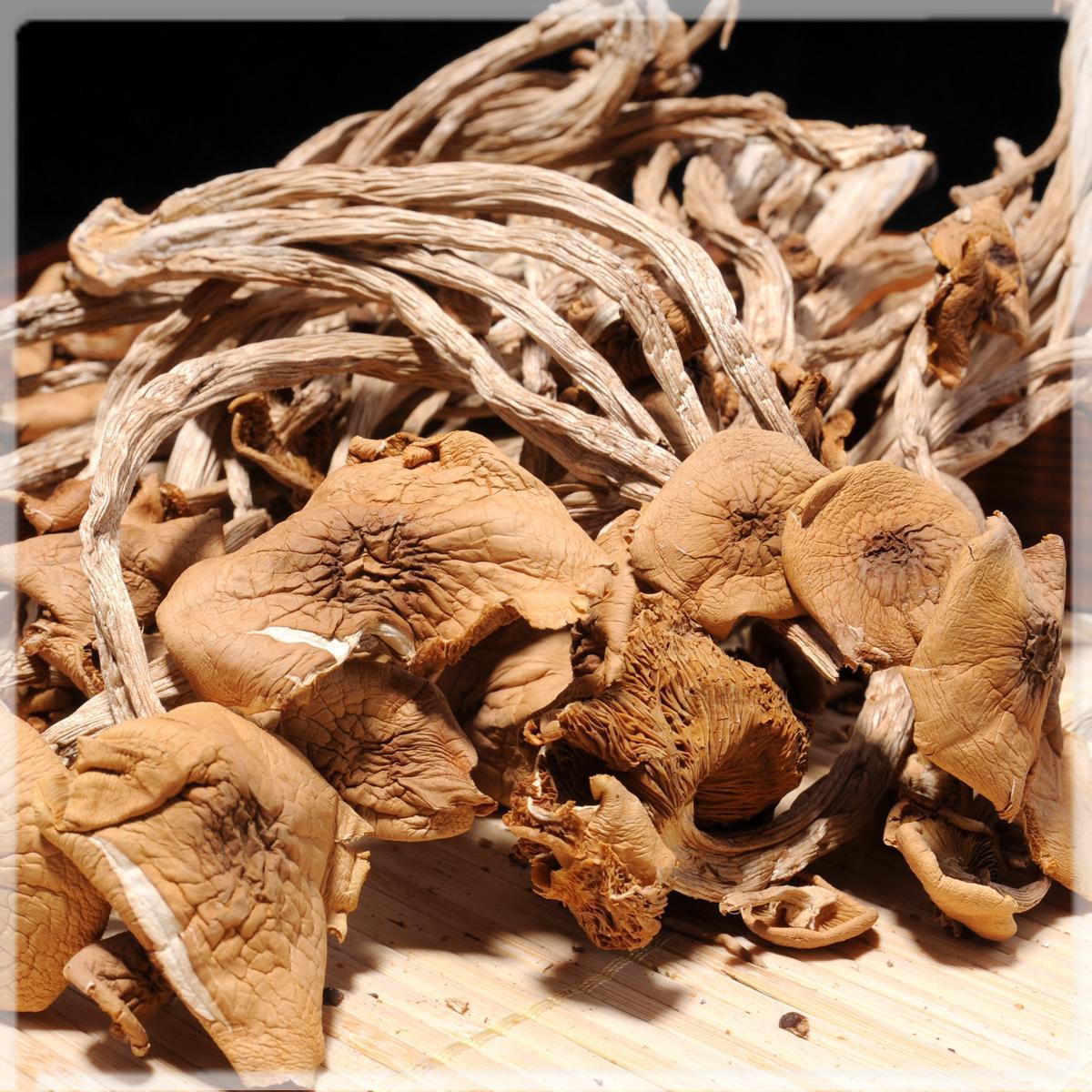【茶树菇】古田茶树菇 干货茶薪菇 煲汤佳品家庭必备